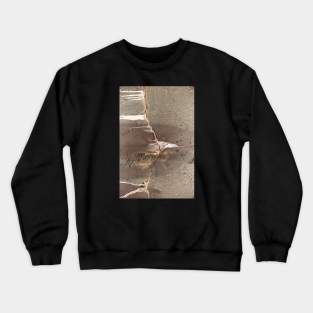 Cracked Water Tank With Eroded Edges Crewneck Sweatshirt